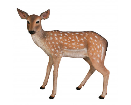 Toscano - Spotted Deer Forest Fawn Garden Statue