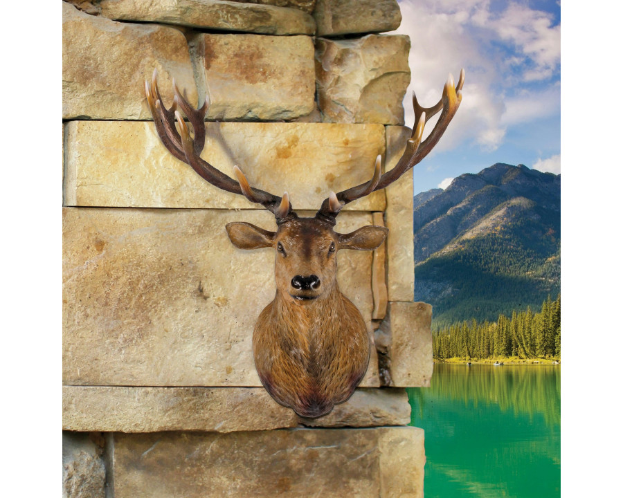 Toscano - Big Antler Buck Trophy Deer Head Wall Sculpture