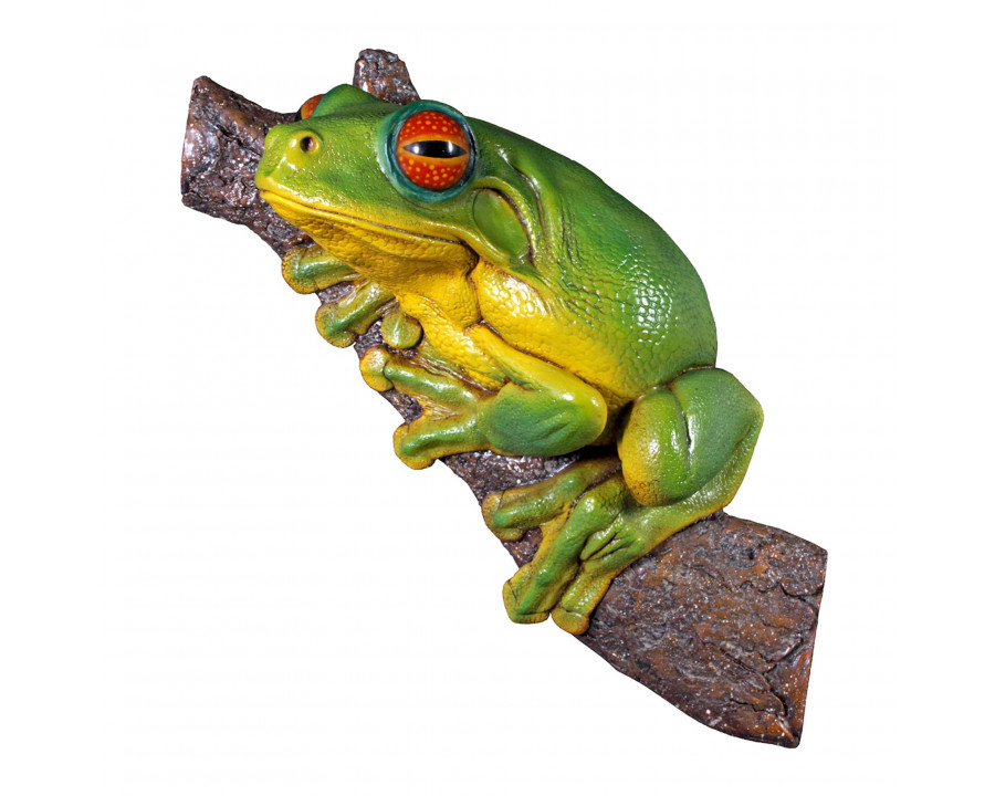 Toscano - Red-Eyed Tree Frog Garden Statue