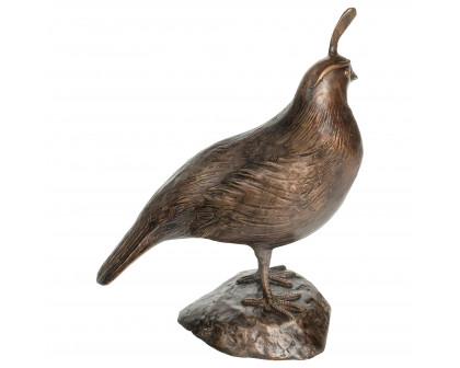 Toscano California Quail Solid Garden Statue - Male