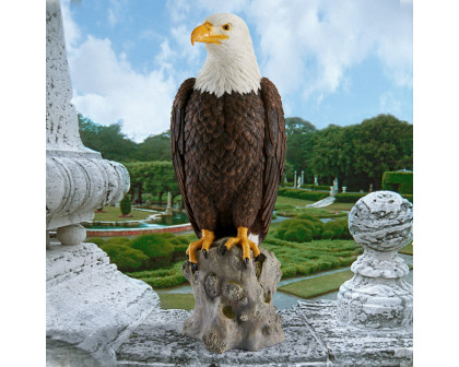 Toscano - Majestic Mountain Eagle Garden Statue