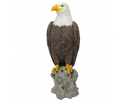 Toscano - Majestic Mountain Eagle Garden Statue