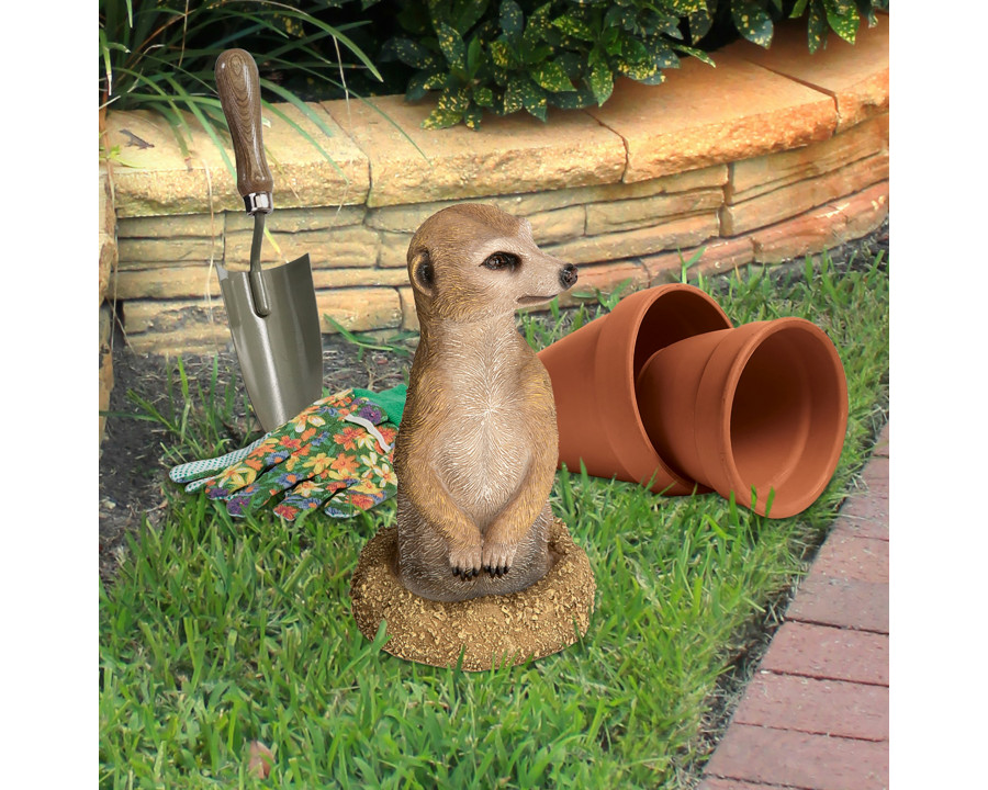 Toscano - Hole in One African Meerkat Garden Statue