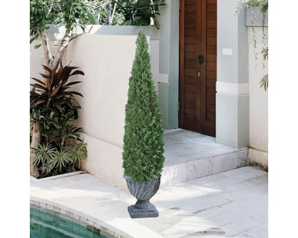 Toscano - Spiral Topiary Tree Collection