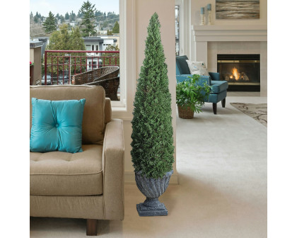 Toscano Cone Topiary Tree Collection - Large