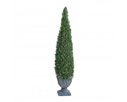 Toscano Cone Topiary Tree Collection - Large