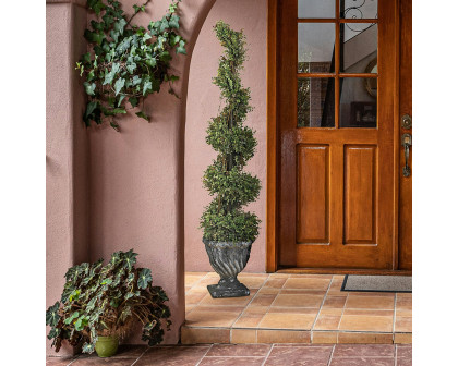 Toscano - Spiral Topiary Tree Collection