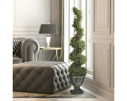 Toscano Spiral Topiary Tree Collection - Small