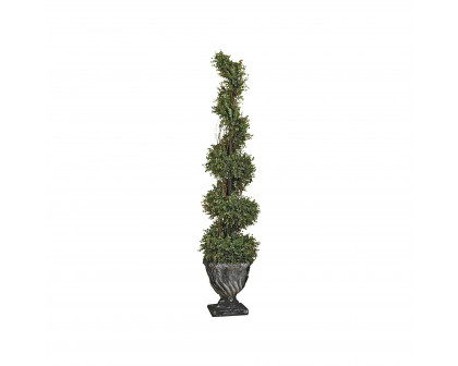 Toscano Spiral Topiary Tree Collection - Small