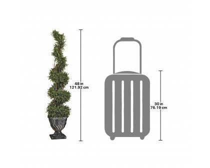 Toscano Spiral Topiary Tree Collection - Small