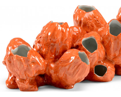 Wildwood Barnacles - Orange, Porcelain