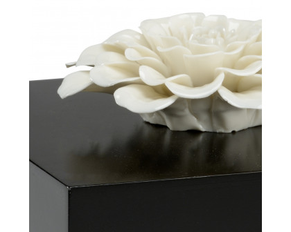 Wildwood - Zinnia Box in Black, Composite