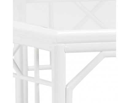 Wildwood™ Wild Palm Cocktail Table - White/Clear, Rattan