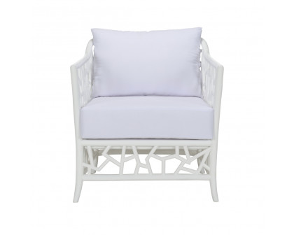 Wildwood - Catania Lounge Chair in White, Rattan