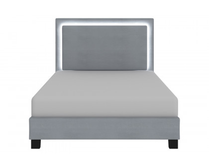 Worldwide Lumina 60" Queen Bed with Light - Gray