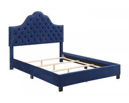 Worldwide Greta 60" Queen Bed - Blue