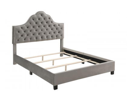 Worldwide Greta 60" Queen Bed - Gray