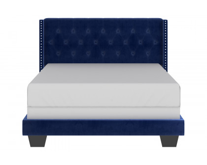 Worldwide Gunner 60" Queen Bed - Blue