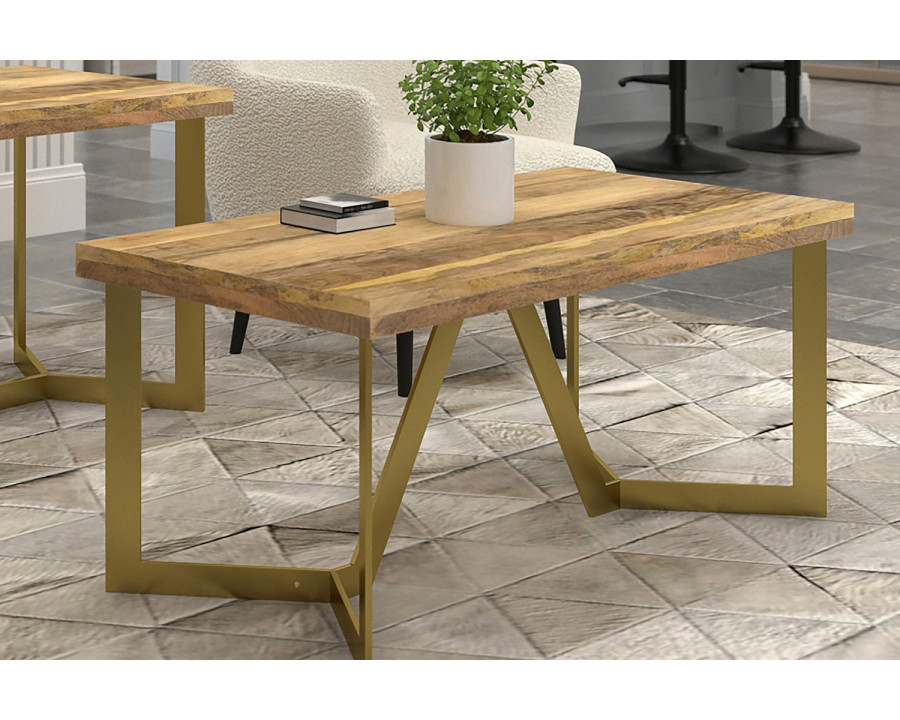 Worldwide - Zivah Rectangular Coffee Table in Natural/Aged Gold