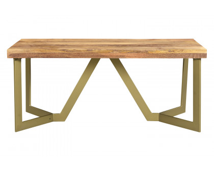 Worldwide™ Zivah Rectangular Coffee Table - Natural/Aged Gold