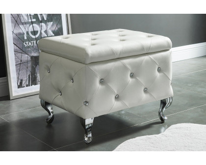 Worldwide - Monique Rectangular Storage Ottoman