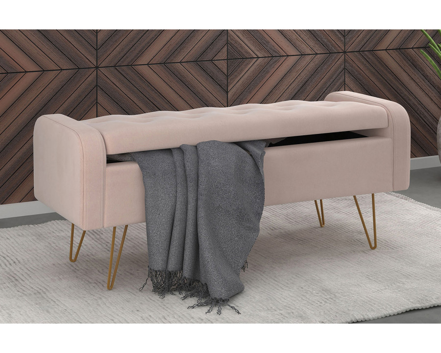 Worldwide Sabel Rectangular Storage Ottoman - Blush Pink/Aged Gold