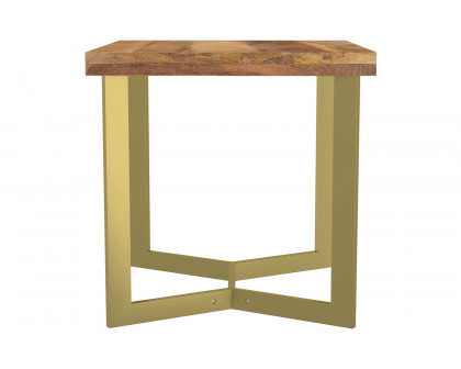 Worldwide - Zivah Accent Table in Natural/Aged Gold