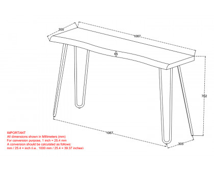 Worldwide Nila Console/Desk - Light Gray