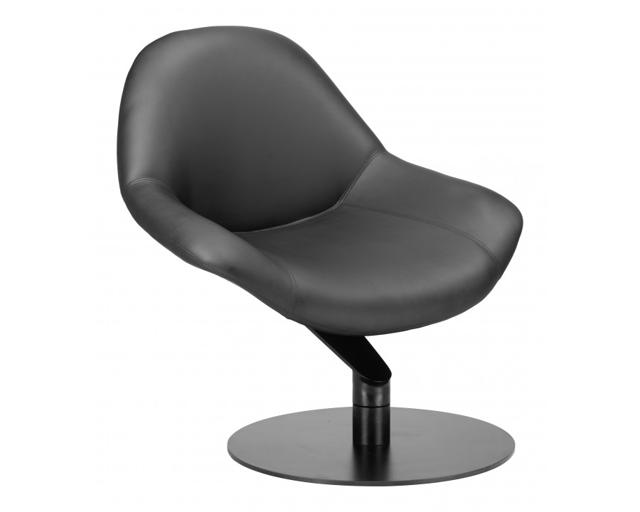 ZUO - Poole Accent Chair in Black