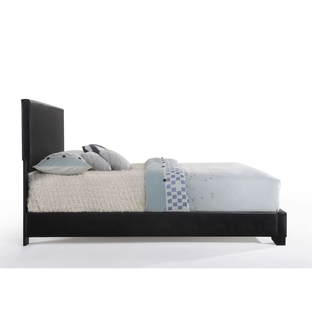 ACME Ireland III Queen Bed - Black PU