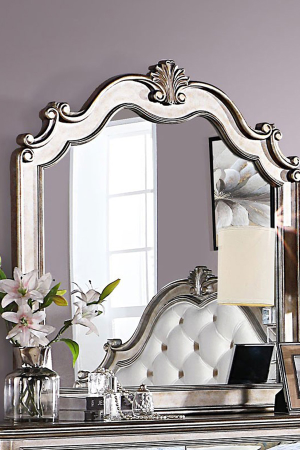 ACME - Esteban Mirror in Antique Champagne (22204)