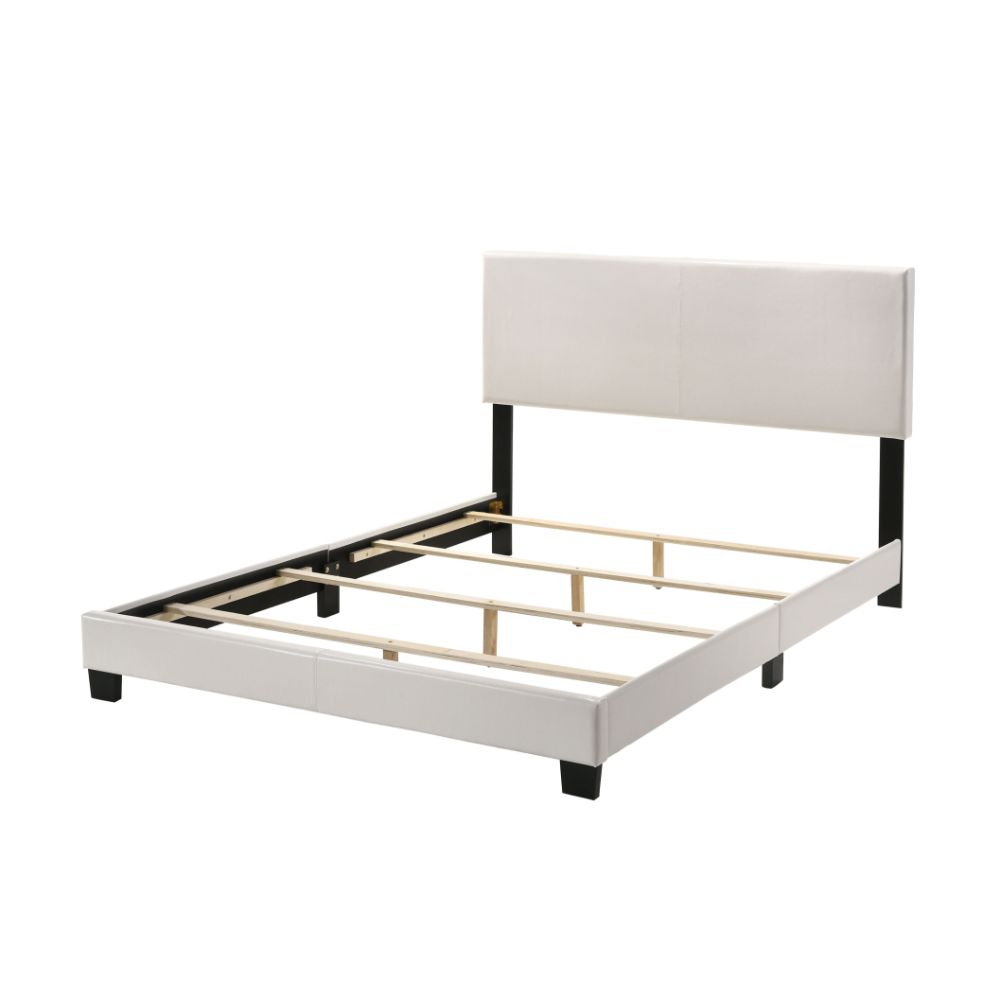 ACME - Lien Upholstered Platform Bed