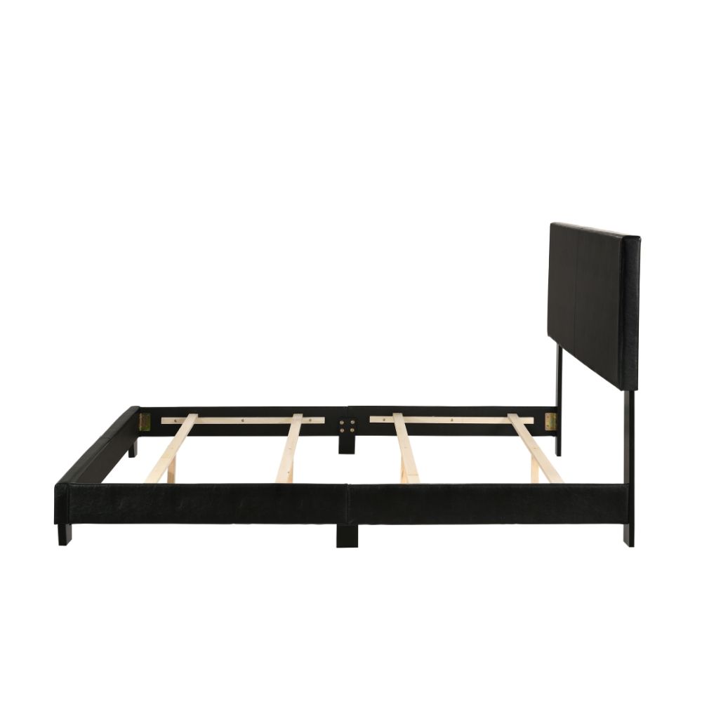 ACME Lien Queen Bed - Black