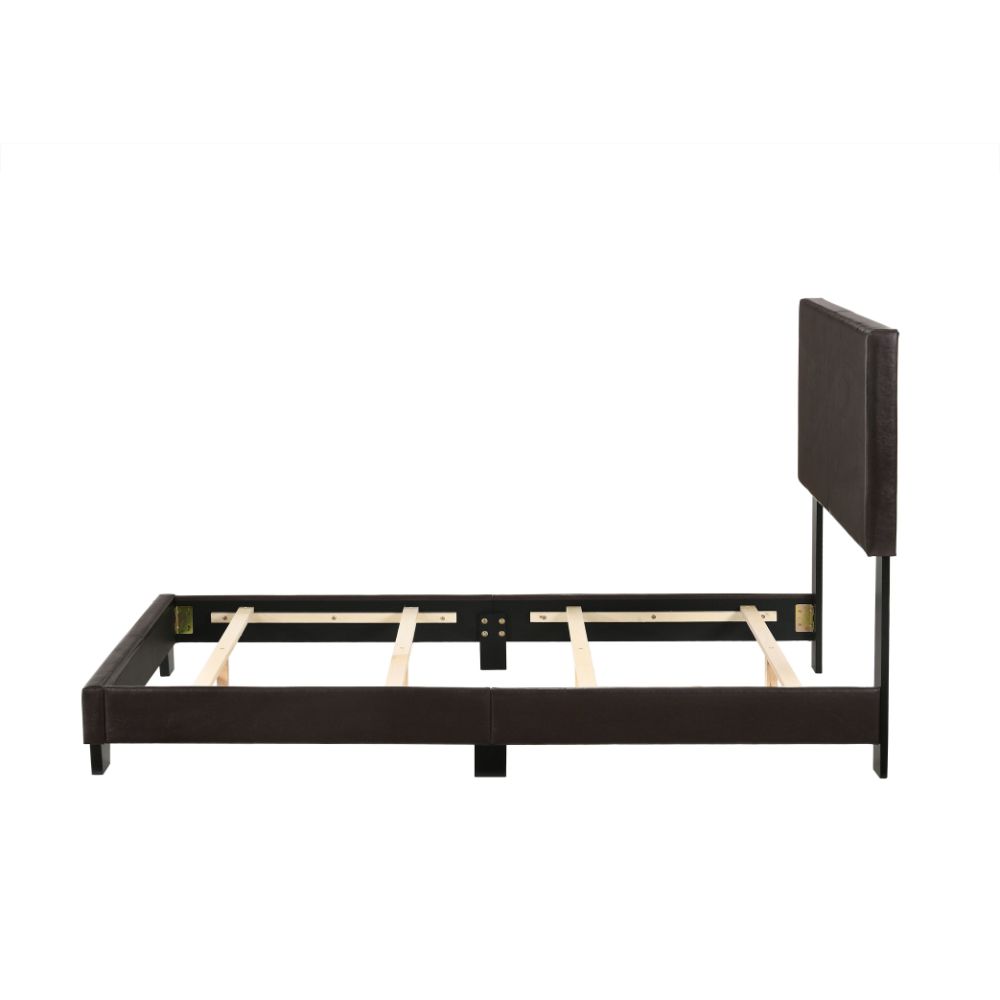 ACME Lien Twin Bed - Espresso