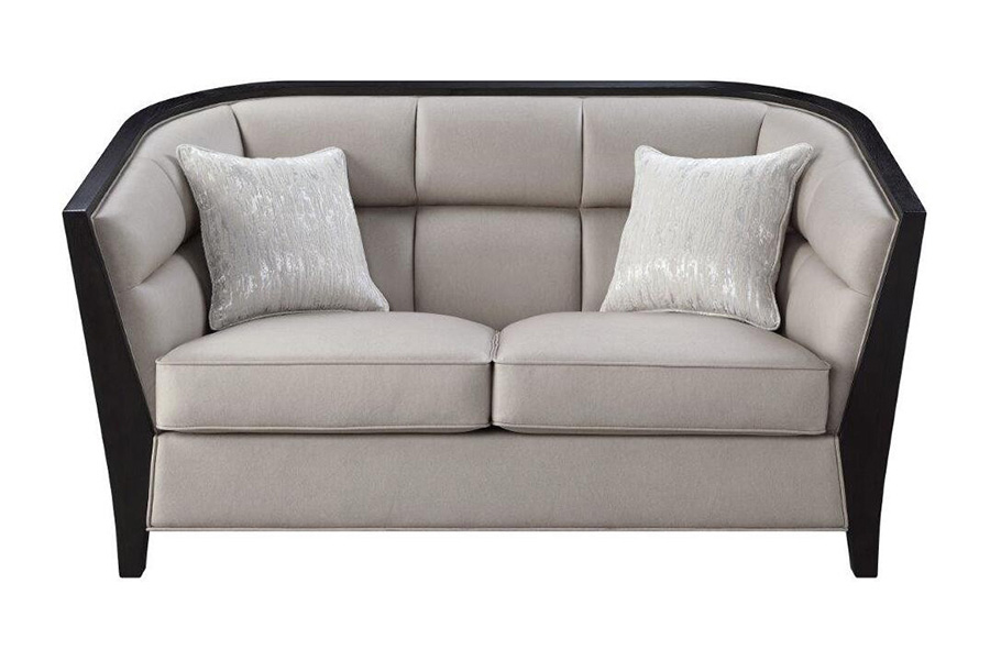 ACME - Zemocryss Loveseat with 2 Pillows in Beige