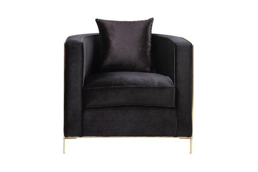 ACME™ Fergal Chair with Pillow - Black/Gold