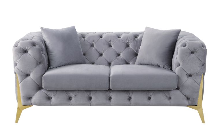 ACME - Jelanea Loveseat with 2 Pillows (Same As Lv01407) in Gray Velvet/Gold