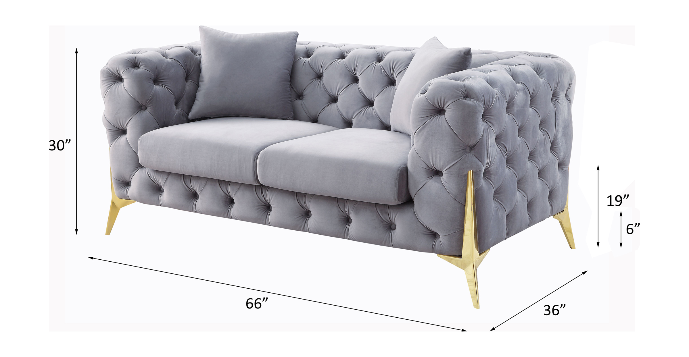 ACME - Jelanea Loveseat with 2 Pillows (Same As Lv01407) in Gray Velvet/Gold