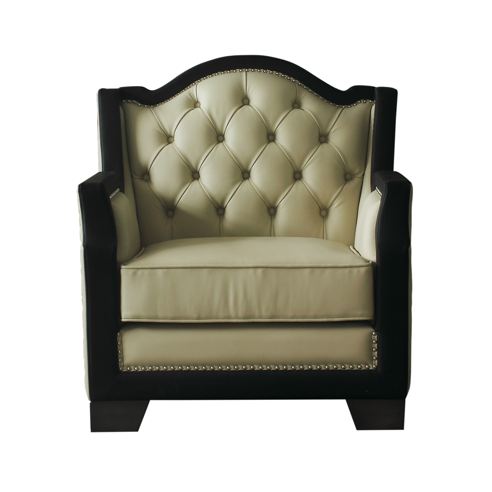 ACME™ House Beatrice Chair with Pillow - Beige /Black/Charcoal