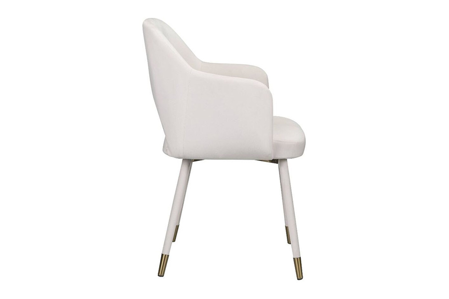 ACME Applewood Accent Chair - Cream Velvet and Gold