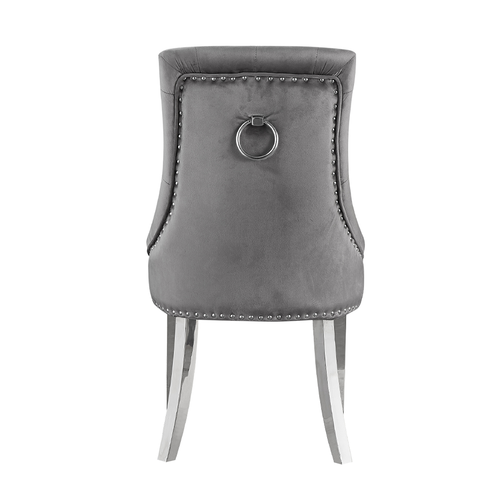 ACME - Satinka Side Chair (Set of 2) in Gray Mirrored Silver