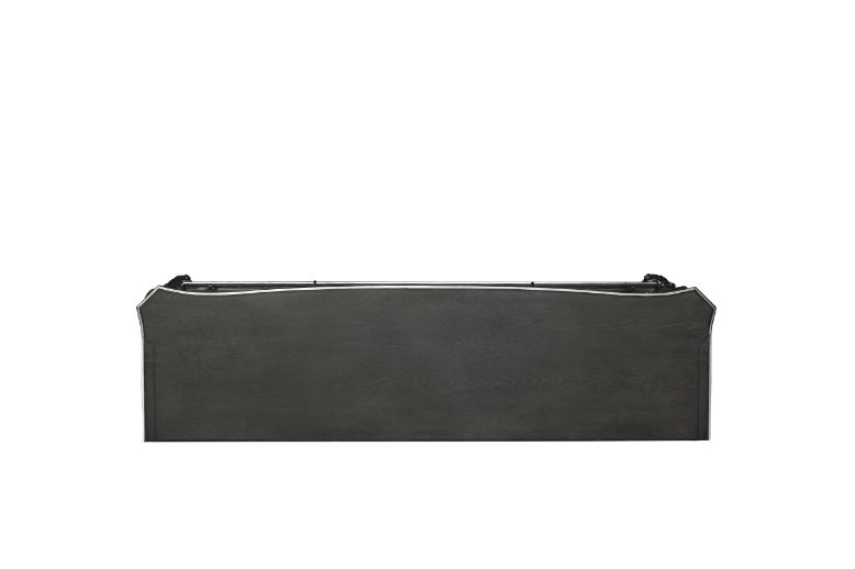 ACME - House Delphine TV Stand in Charcoal