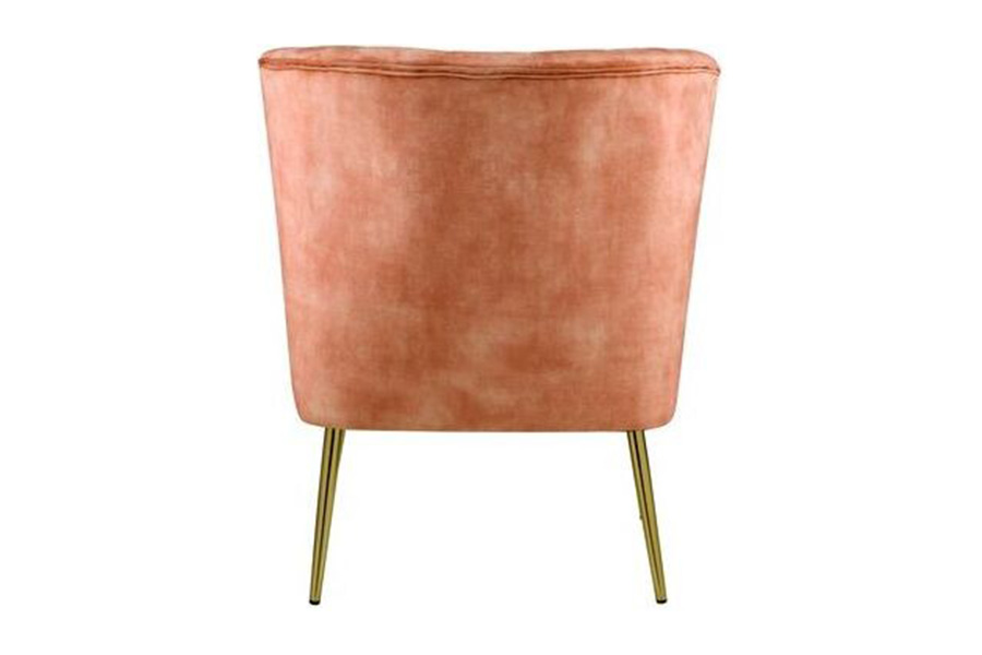 ACME - Sambell Accent Chair in Burnt Orange