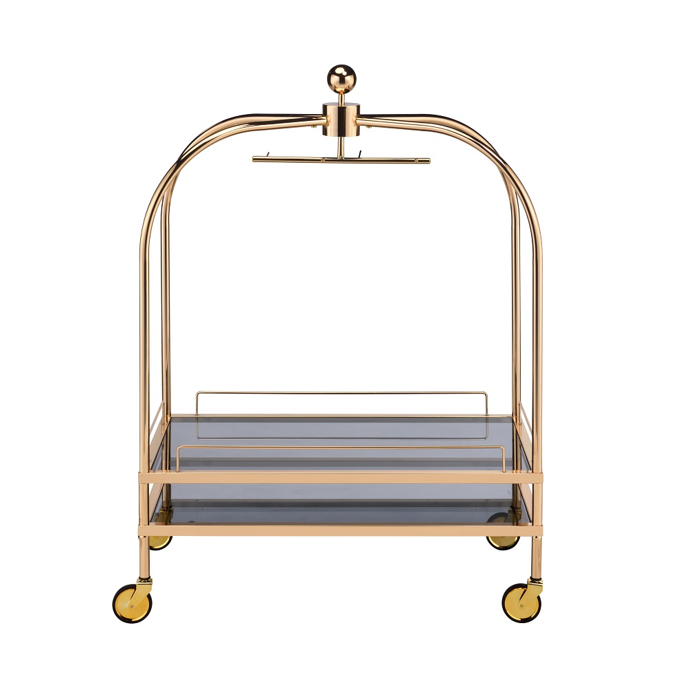 ACME - Bryna Serving Cart in Smoked Glass/Gold