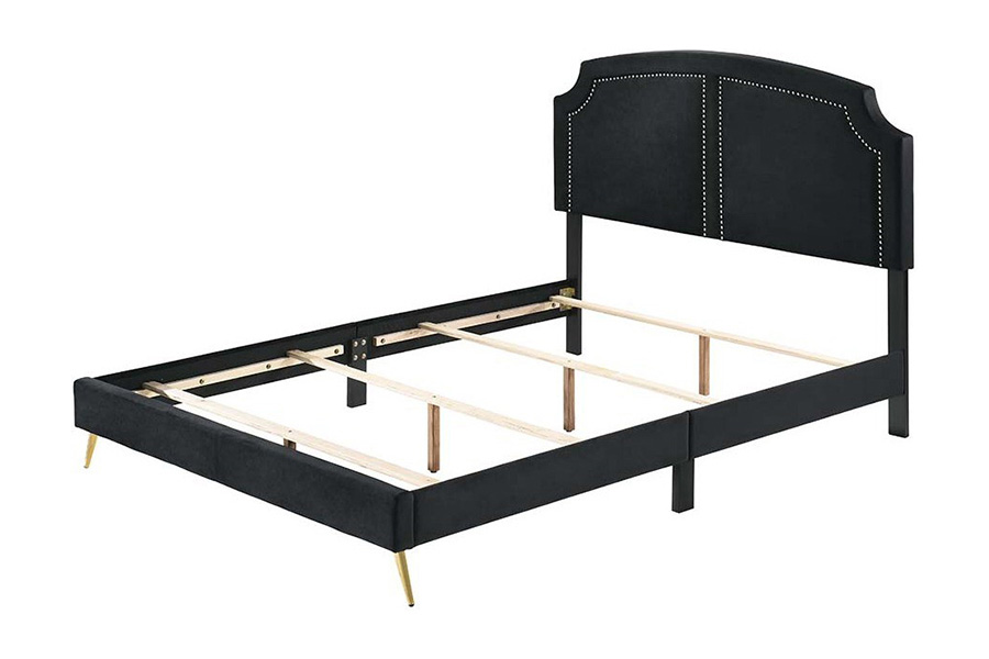 ACME Zeena Queen Bed - Black Velvet