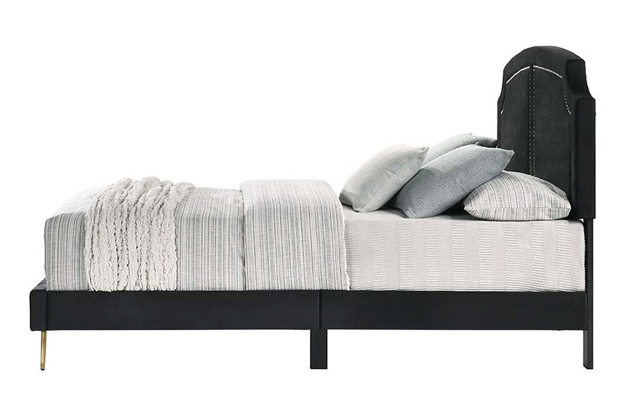 ACME Zeena Queen Bed - Black Velvet