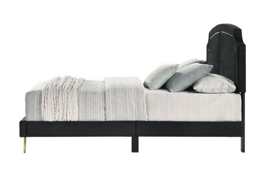 ACME Zeena Eastern King Bed - Black Velvet