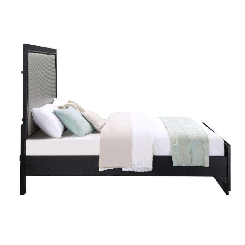 ACME Nicola Queen Bed - Silver/Black