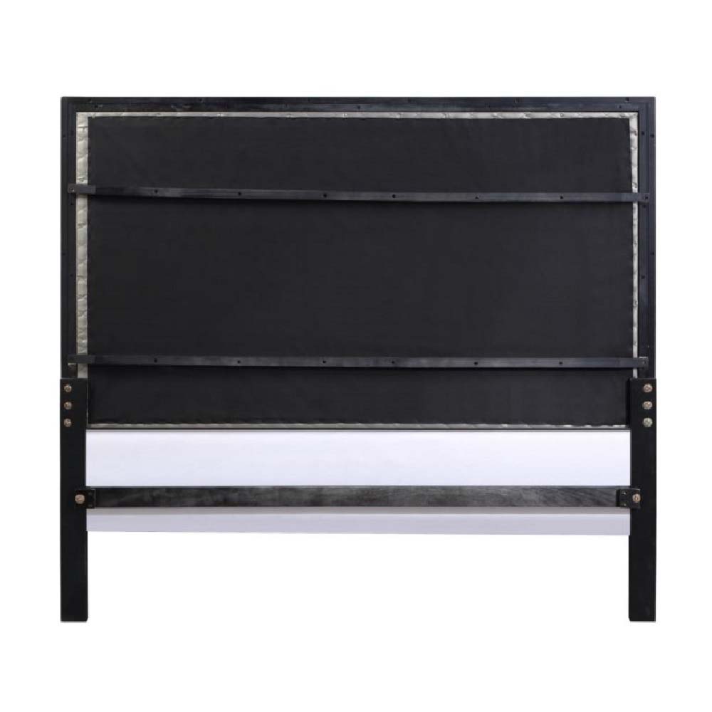 ACME Nicola Queen Bed - Silver/Black