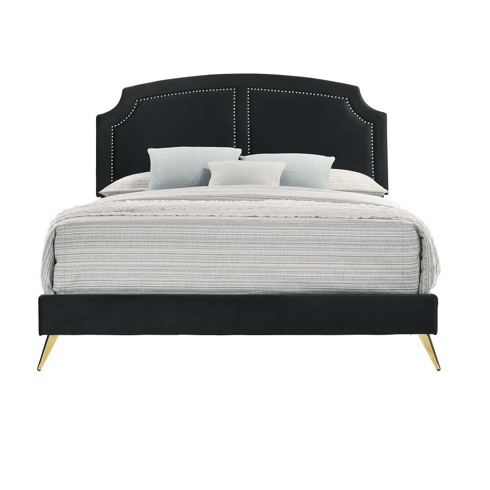 ACME - Zeena Bed